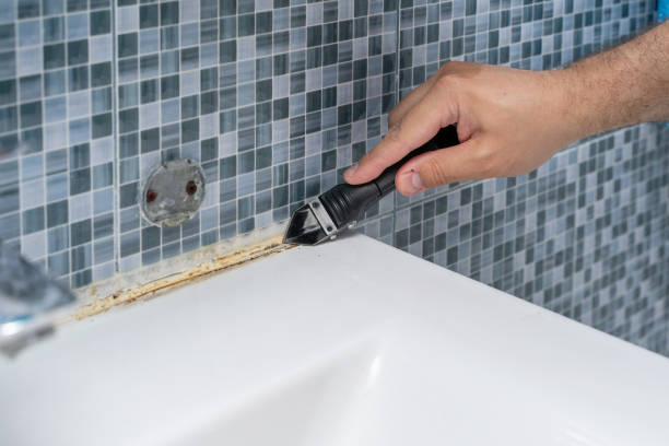 Best Mold Remediation  in Elberta, AL