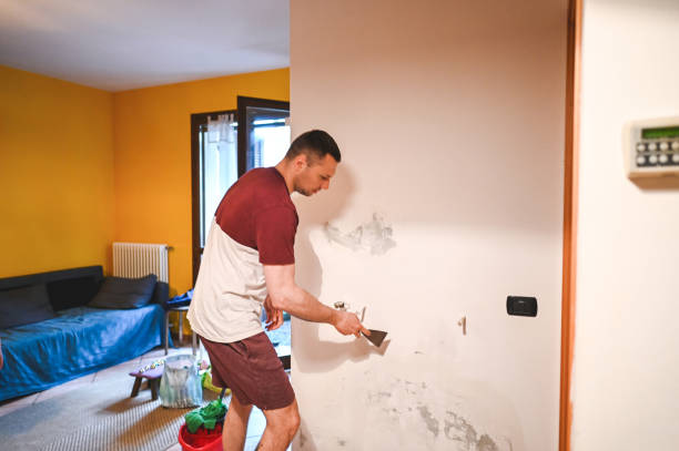 Best Crawl Space Mold Removal  in Elberta, AL